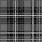 Douglas Grey Heavy Weight Tartan Fabric | Lochcarron of Scotland